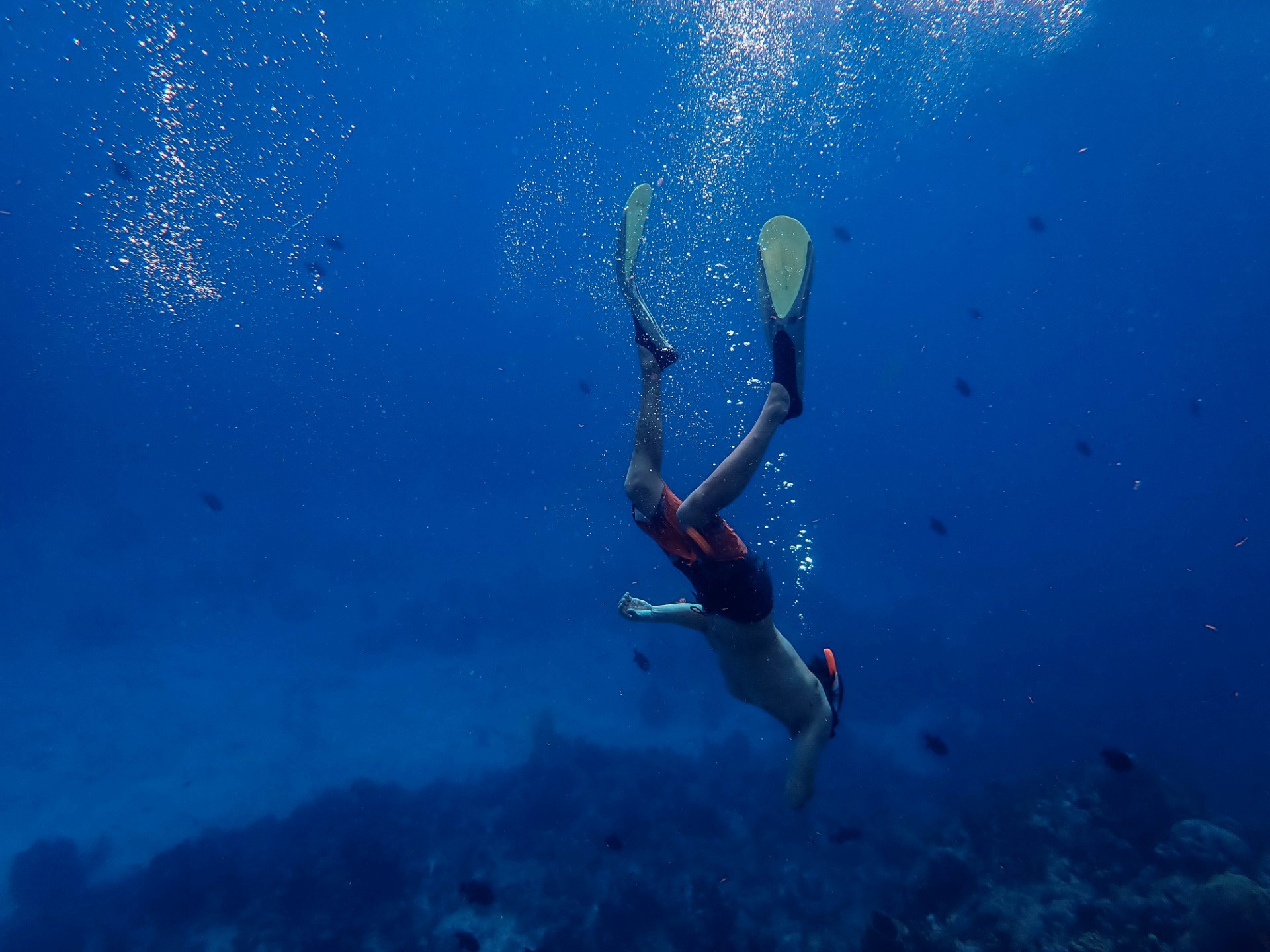 Activités touristiques en Guadeloupe